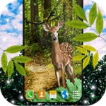 forest live wallpaper android application logo